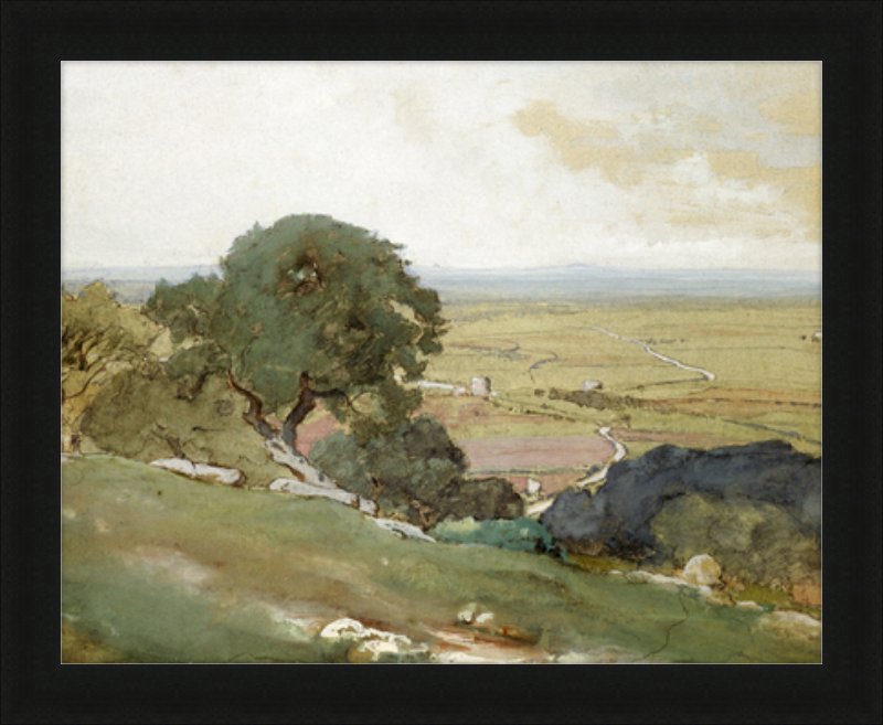 Olive Trees at Tivoli - framed vintage print