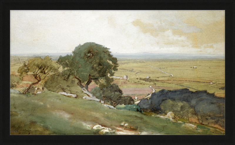 Olive Trees at Tivoli - framed vintage print