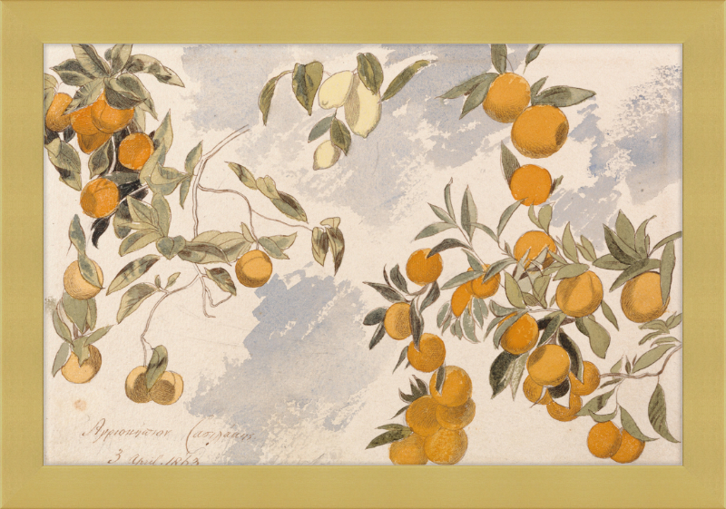 Oranges and Lemons