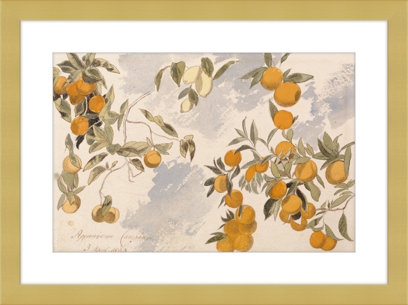 Oranges and Lemons