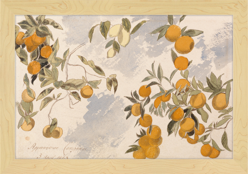Oranges and Lemons