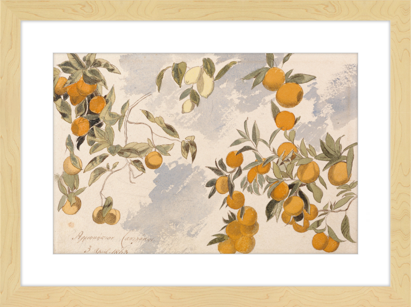 Oranges and Lemons