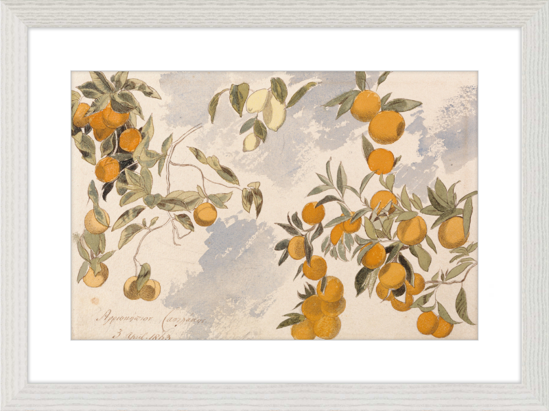 Oranges and Lemons