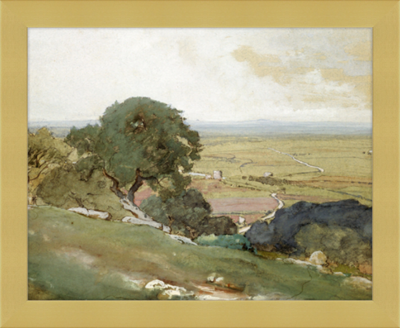 Olive Trees at Tivoli - framed vintage print