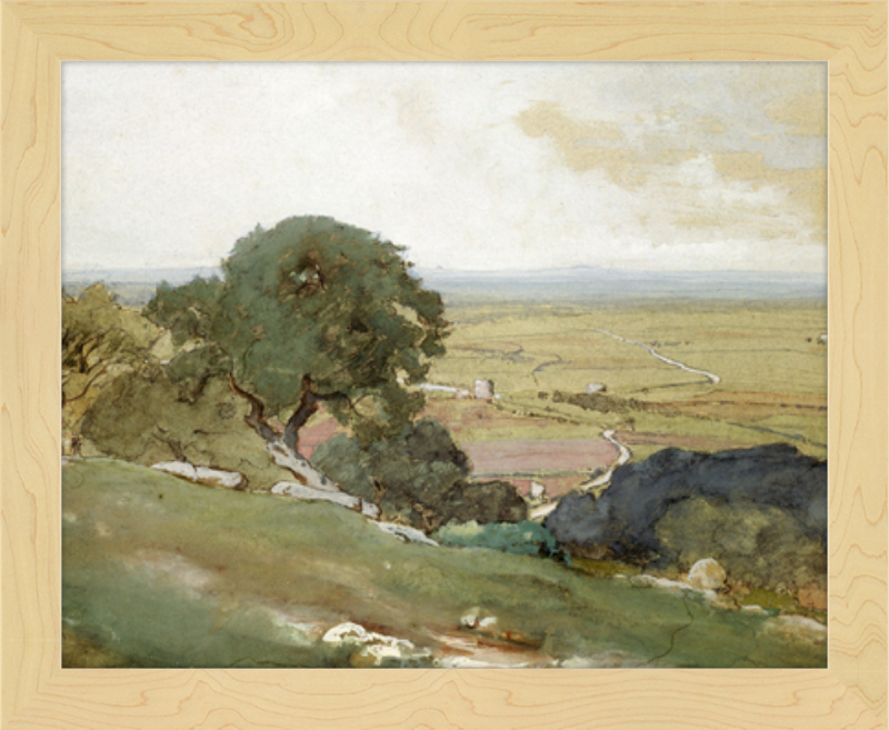 Olive Trees at Tivoli - framed vintage print