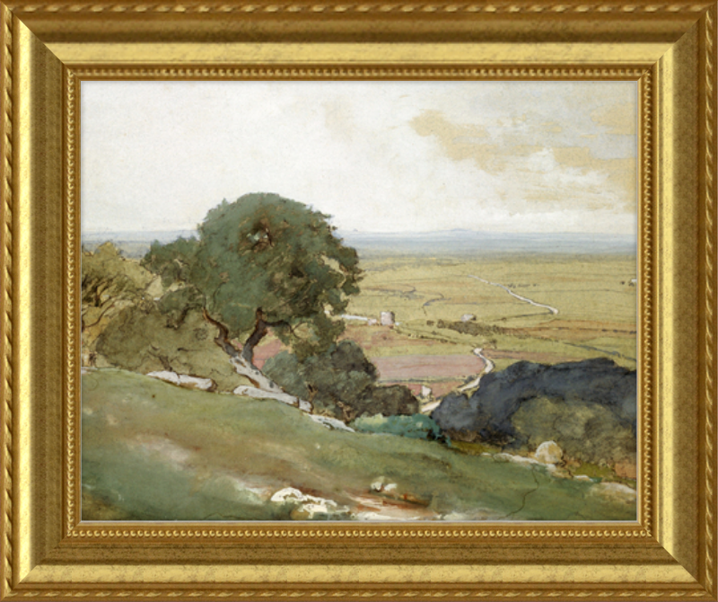 Olive Trees at Tivoli - framed vintage print