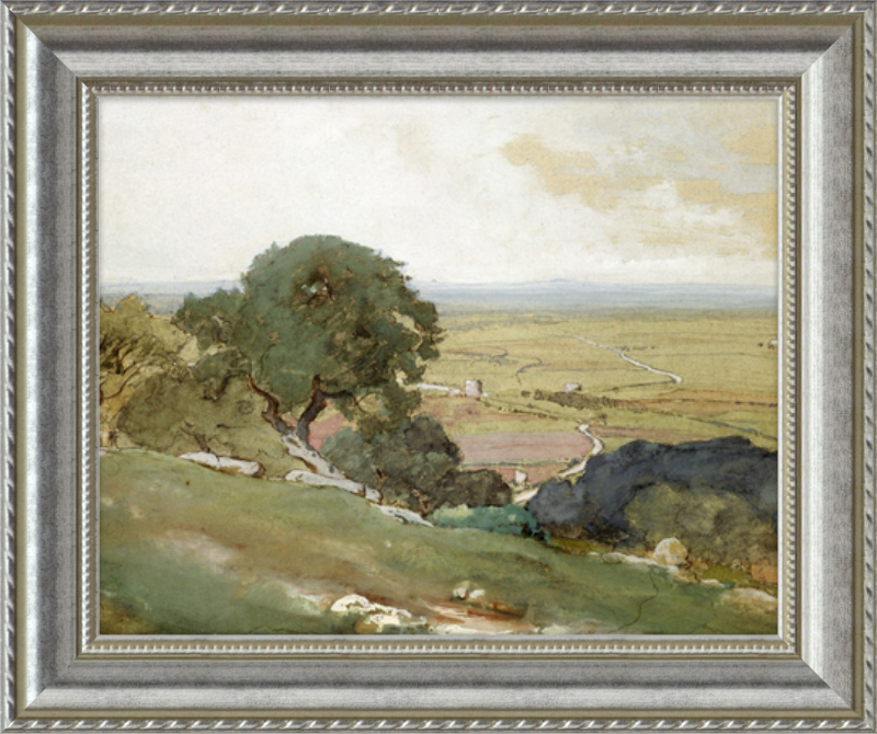 Olive Trees at Tivoli - framed vintage print