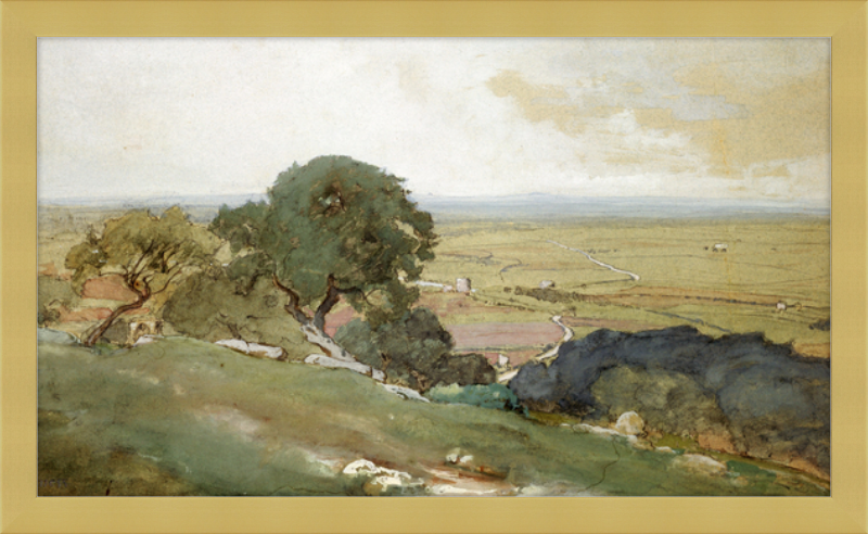Olive Trees at Tivoli - framed vintage print