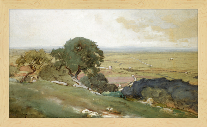 Olive Trees at Tivoli - framed vintage print