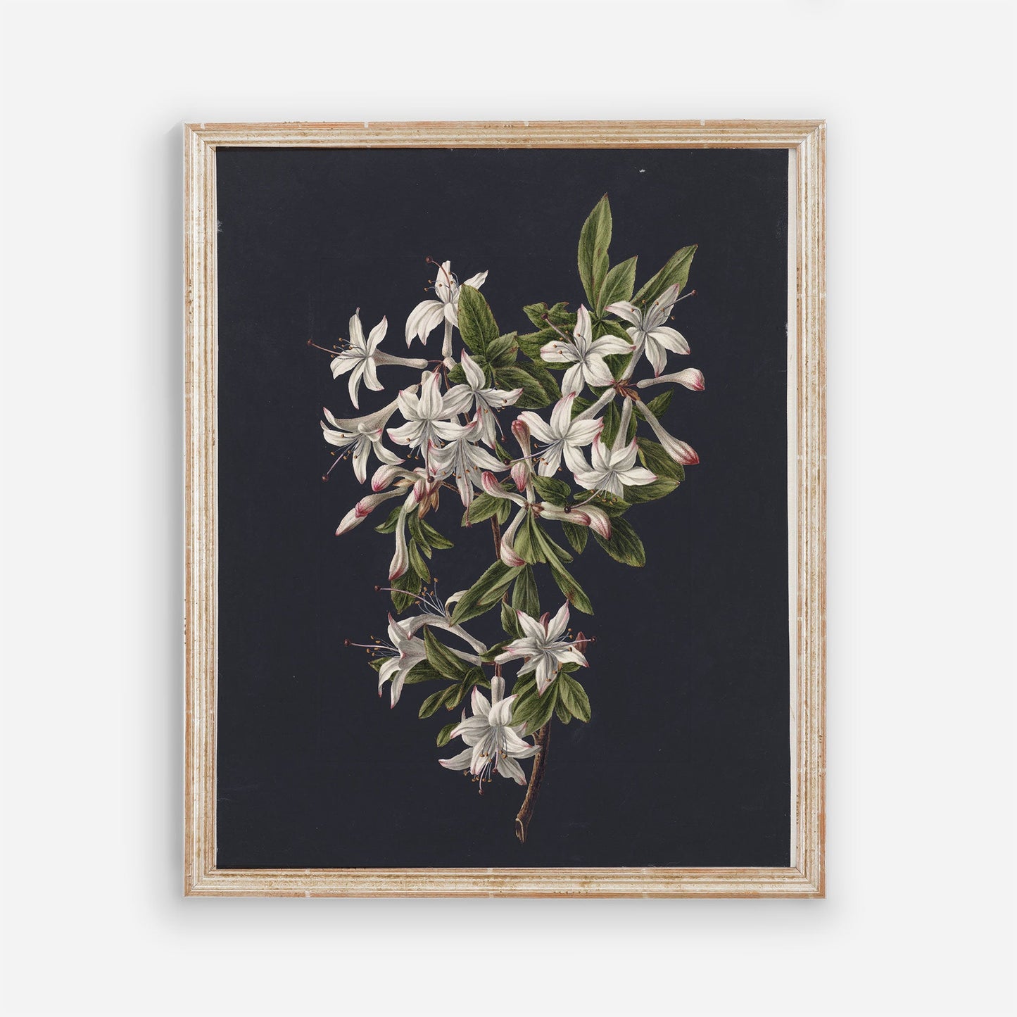 Flowers Vintage Wall Art - Printed and Shipped Reproduction - Dark Moody Modern Bedroom Floral Wall Prints