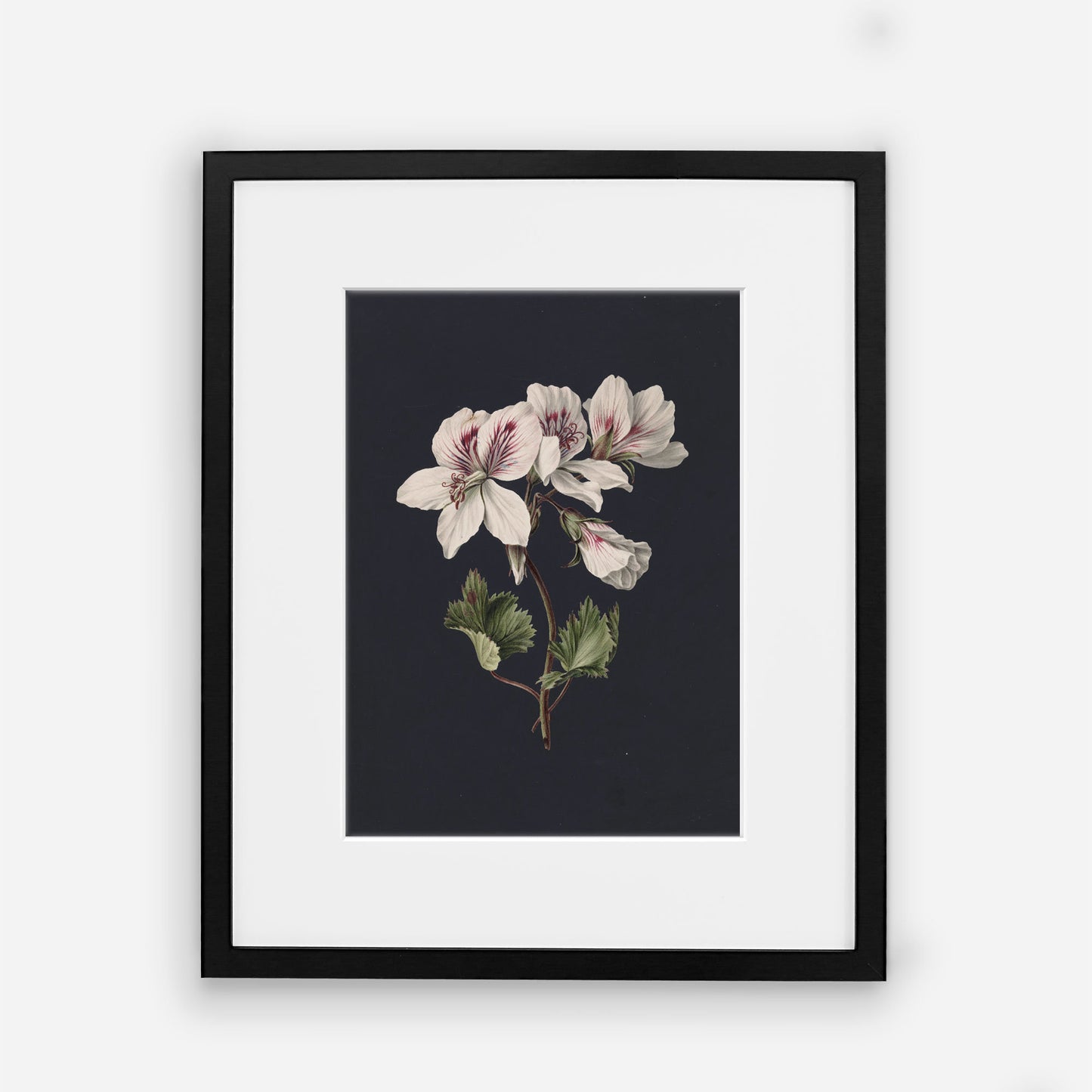 Vintage Floral Wall Art - Dark Modern Bedroom Flowers Wall Prints - Printed and Shipped Reproduction -