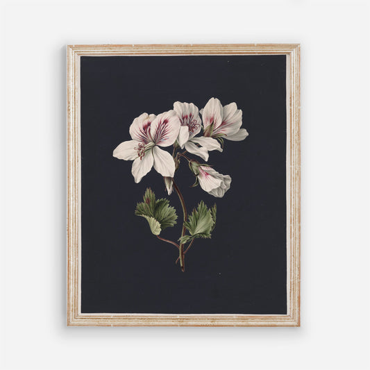 Vintage Floral Wall Art - Dark Modern Bedroom Flowers Wall Prints - Printed and Shipped Reproduction -