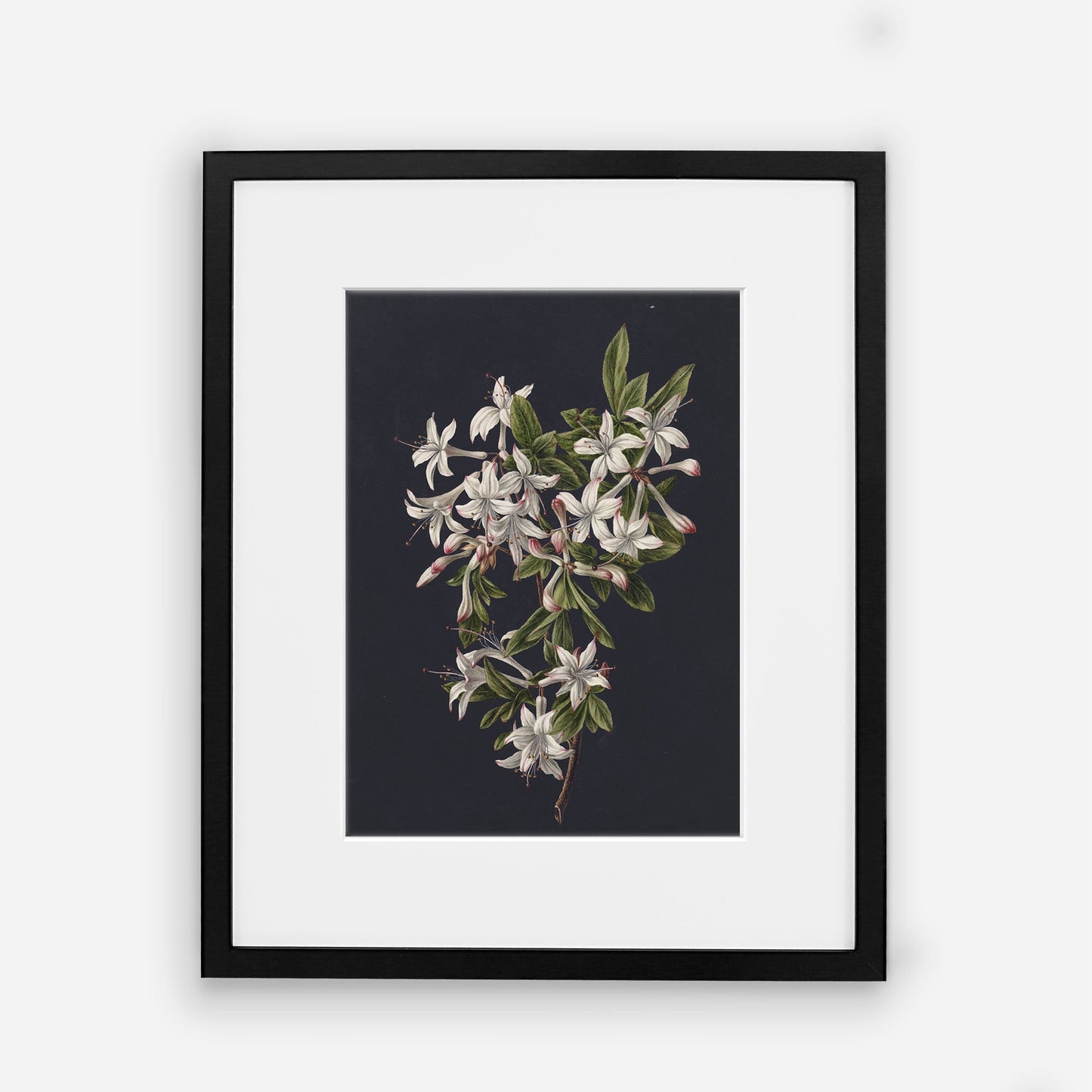 Flowers Vintage Wall Art - Printed and Shipped Reproduction - Dark Moody Modern Bedroom Floral Wall Prints