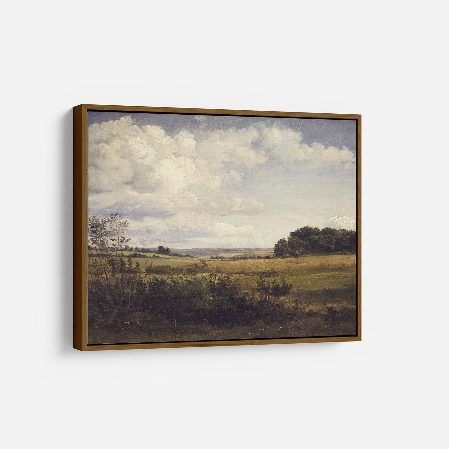 Vintage Landscape Wall Art - Danish Summer Landscape