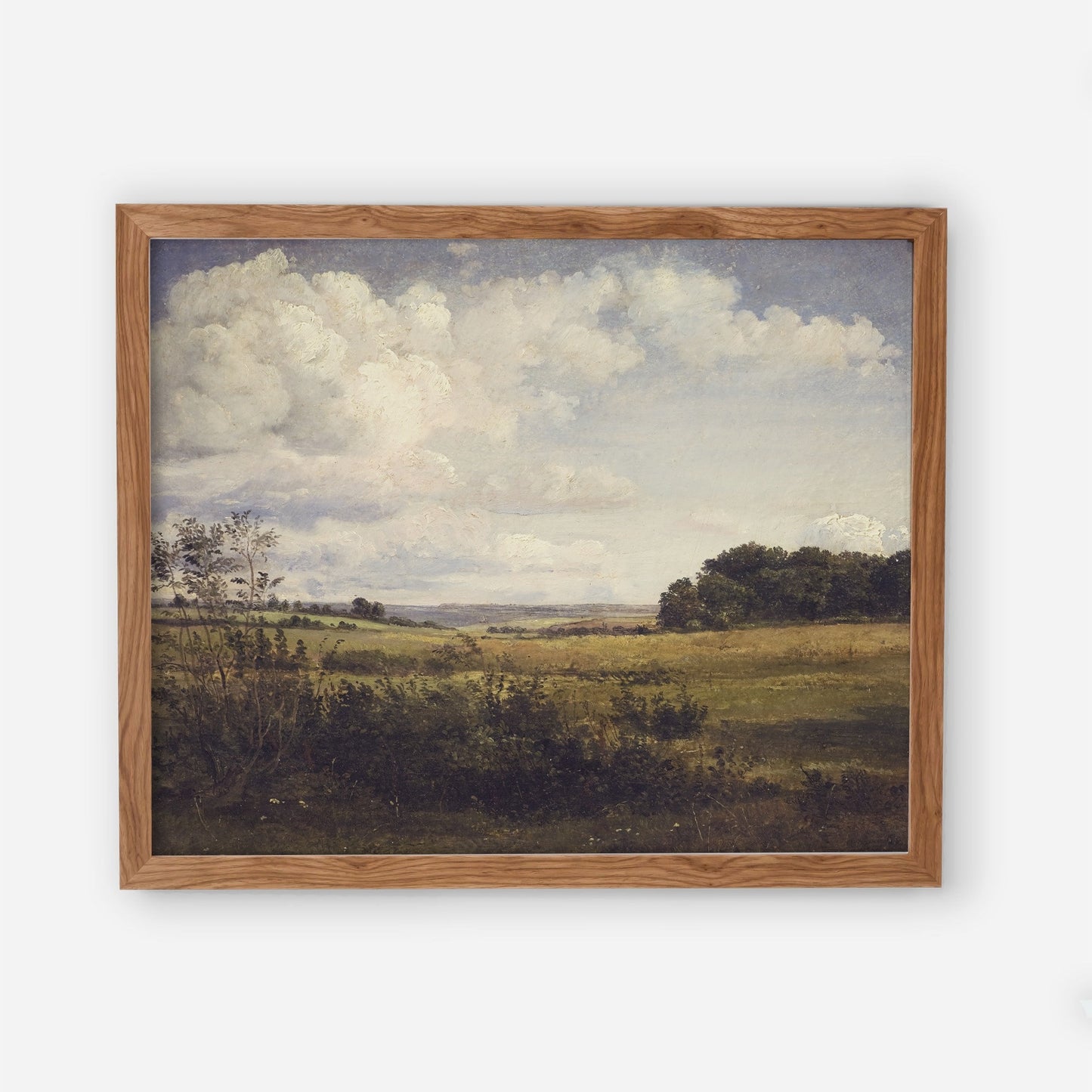 Vintage Landscape Wall Art - Danish Summer Landscape