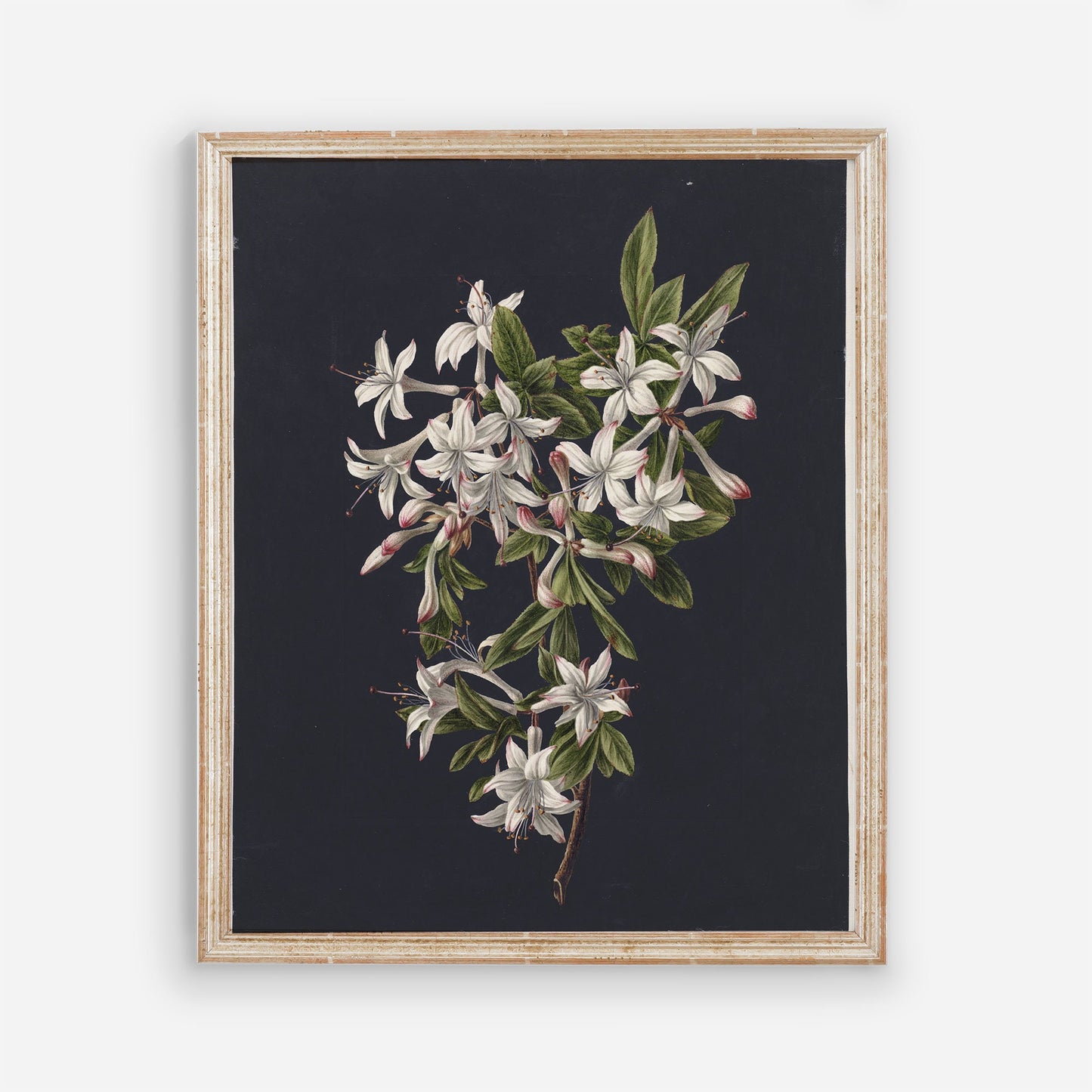 Floral Vintage Gallery Wall Art 