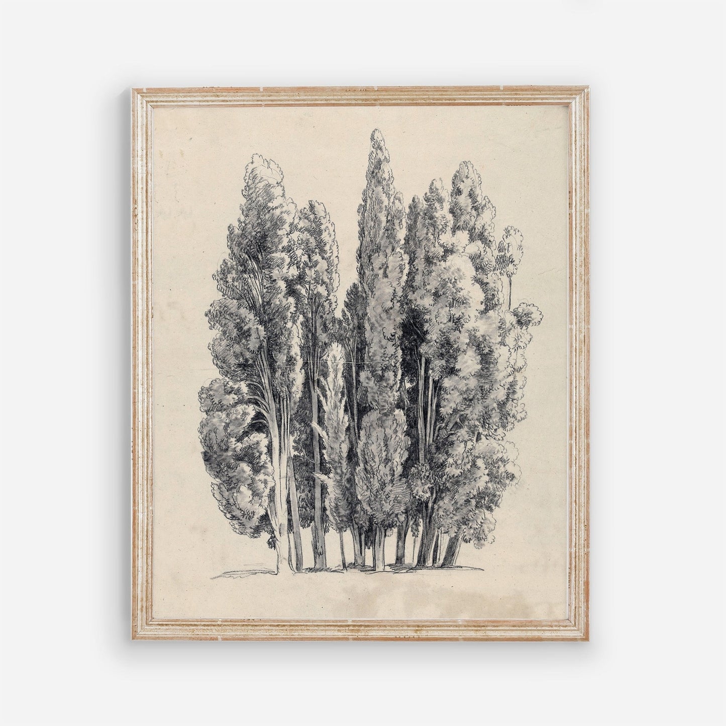 Tree Sketch Vintage Wall Art