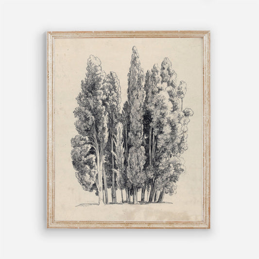 Tree Sketch Vintage Wall Art