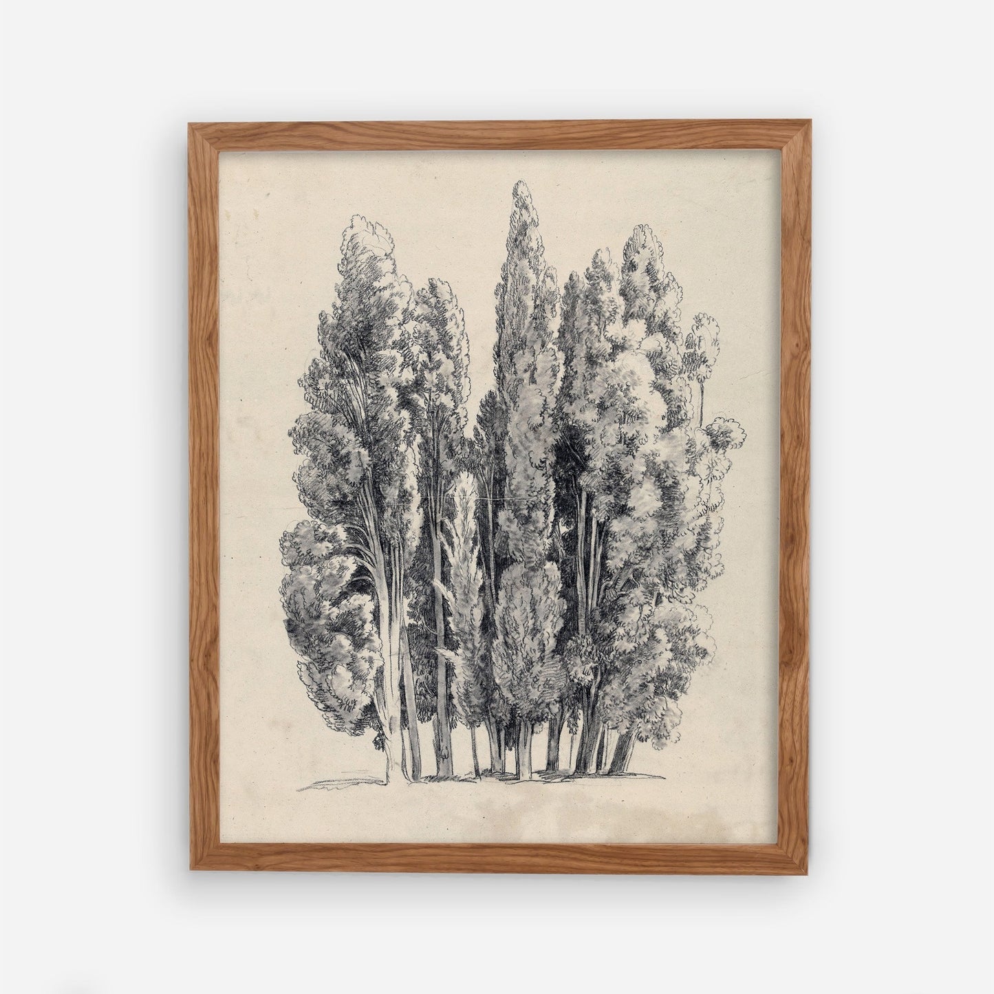 Tree Sketch Vintage Wall Art