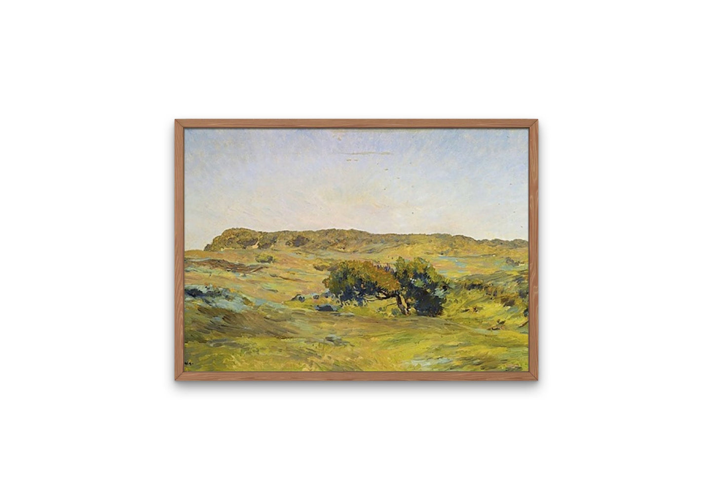 A Dune Landscape