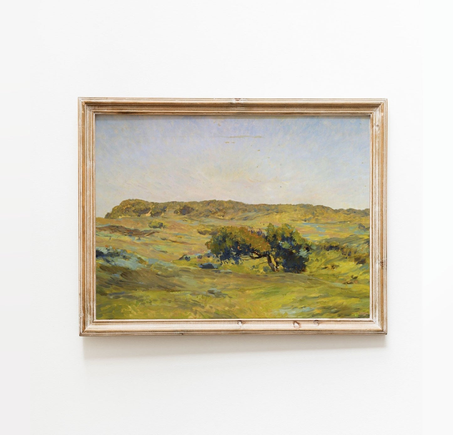 A Dune Landscape