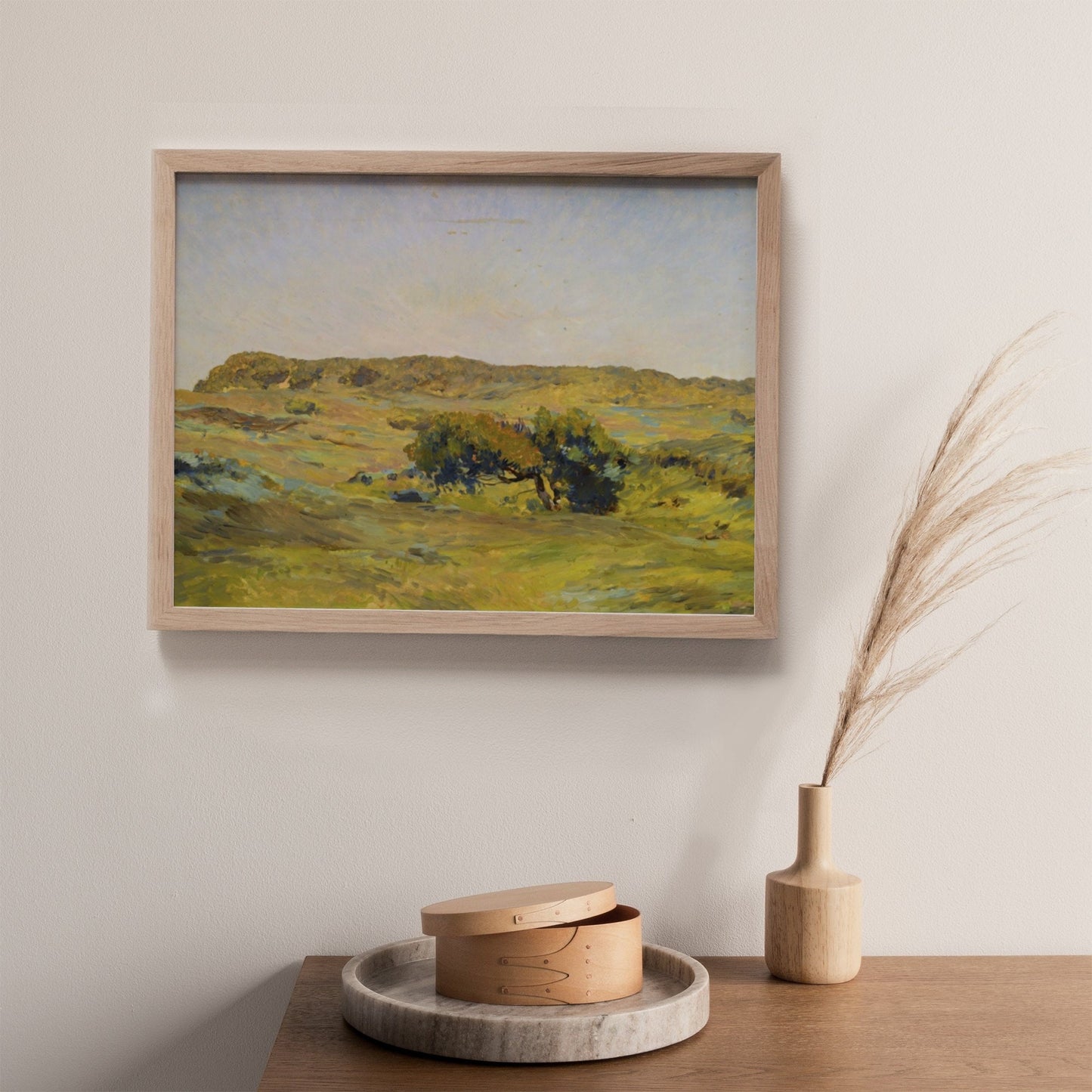 A Dune Landscape