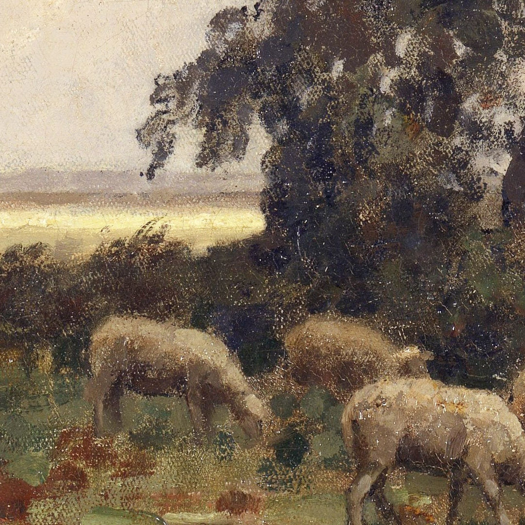 Landscape in Drenthe