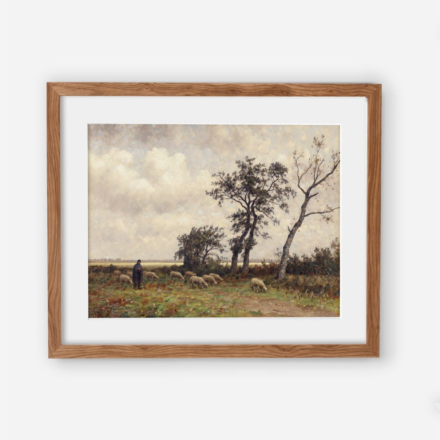 Landscape in Drenthe