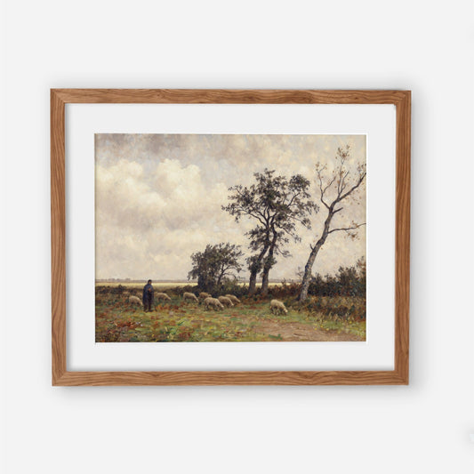 Landscape in Drenthe