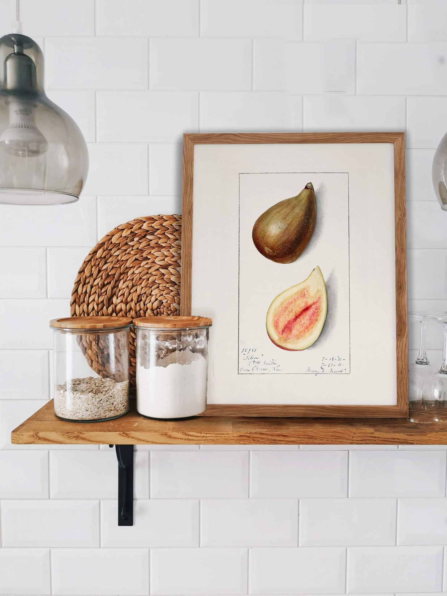 Fig Vintage Botanical Wall Art 