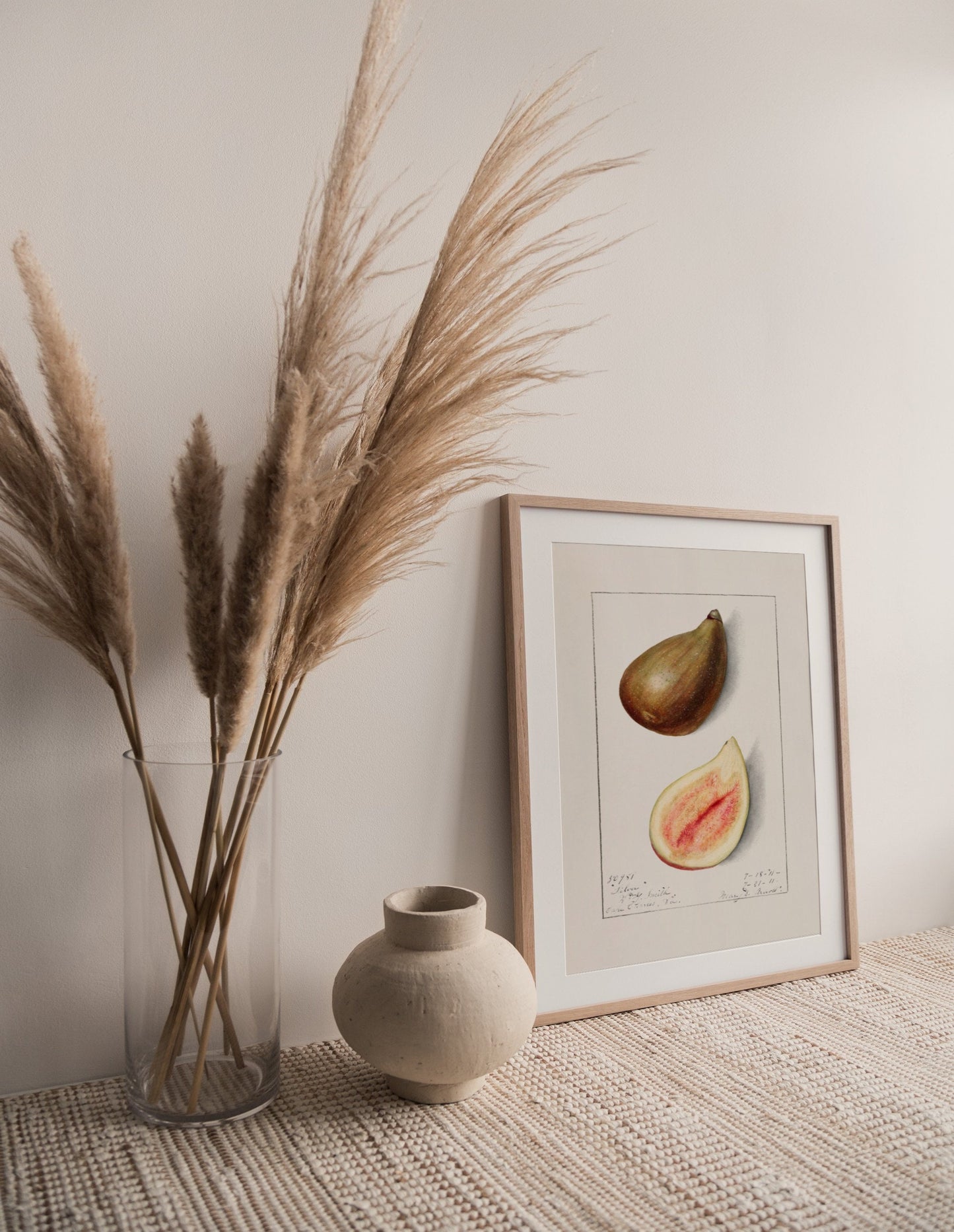 Fig Vintage Botanical Wall Art 