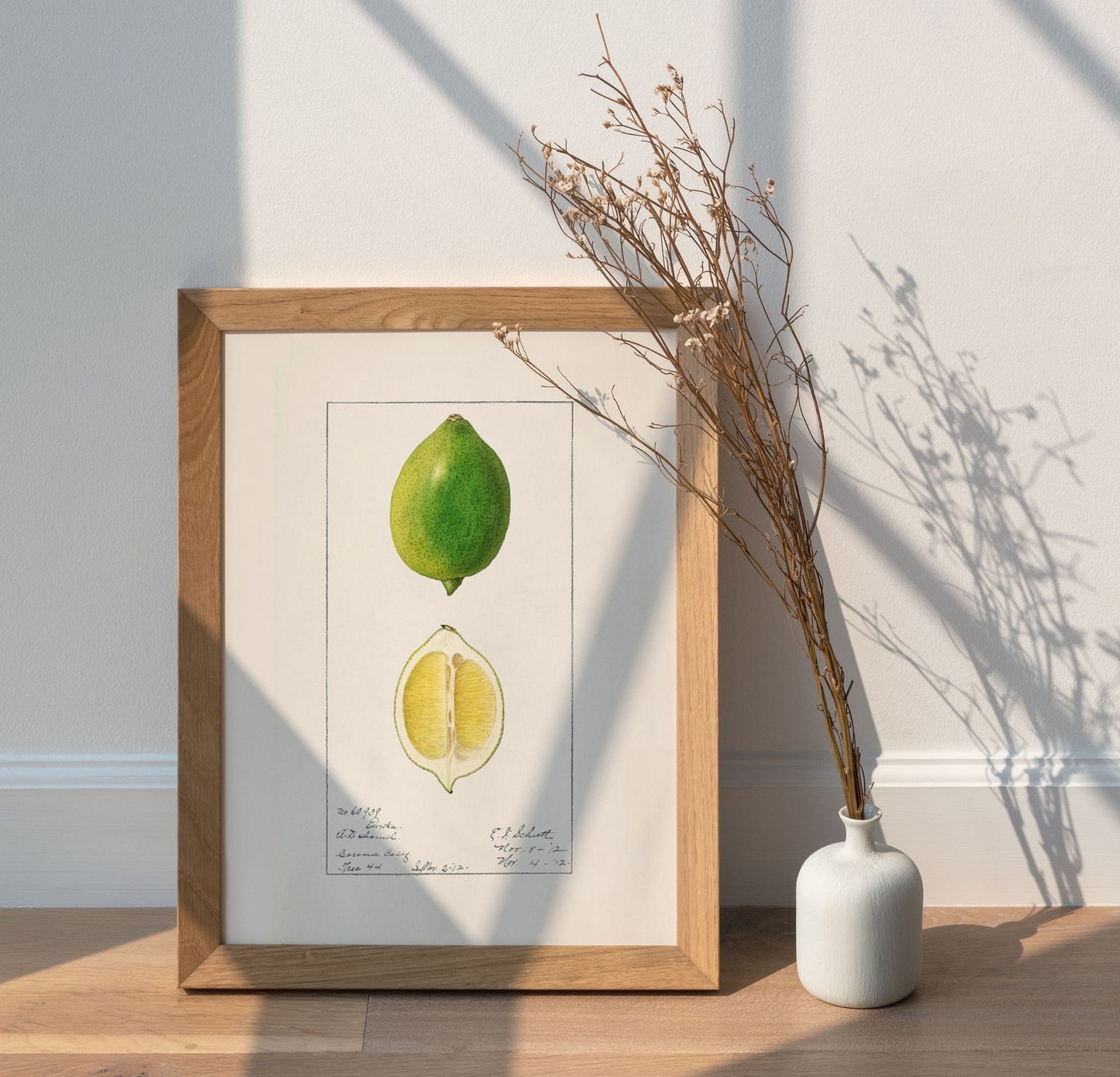 Botanical Fruit Lime Vintage Wall Art 