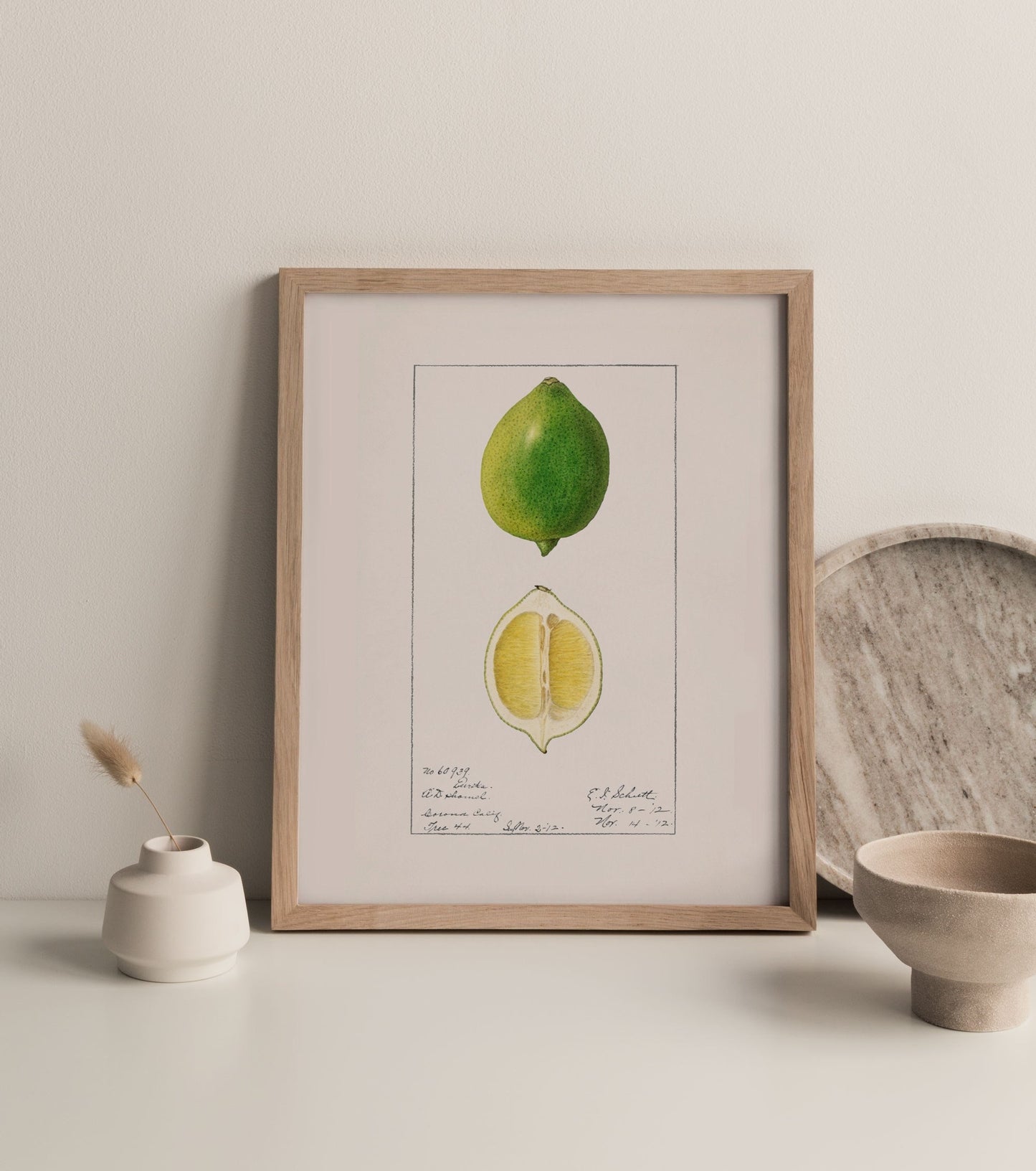 Botanical Fruit Lime Vintage Wall Art 