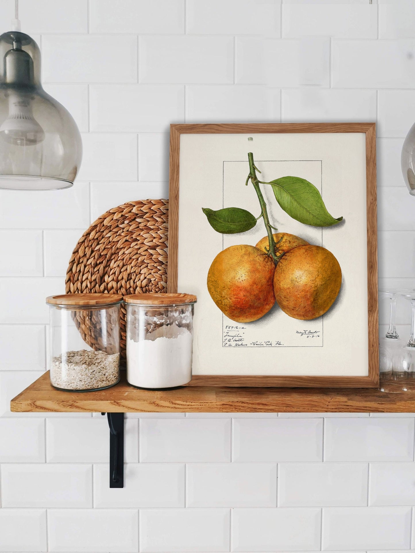 Botanical Fruit Orange Vintage Wall Art
