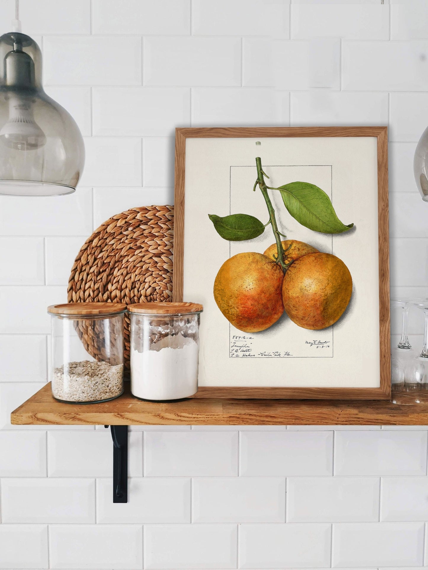 Botanical Fruit Orange Vintage Wall Art 