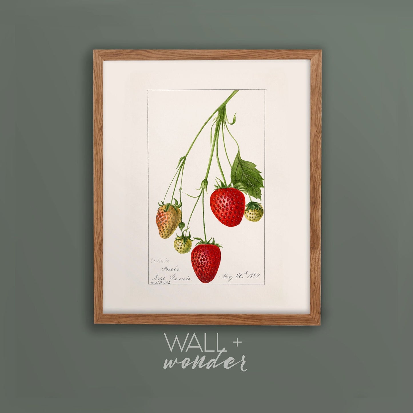 Vintage Strawberry Plant Kitchen Wall Art 