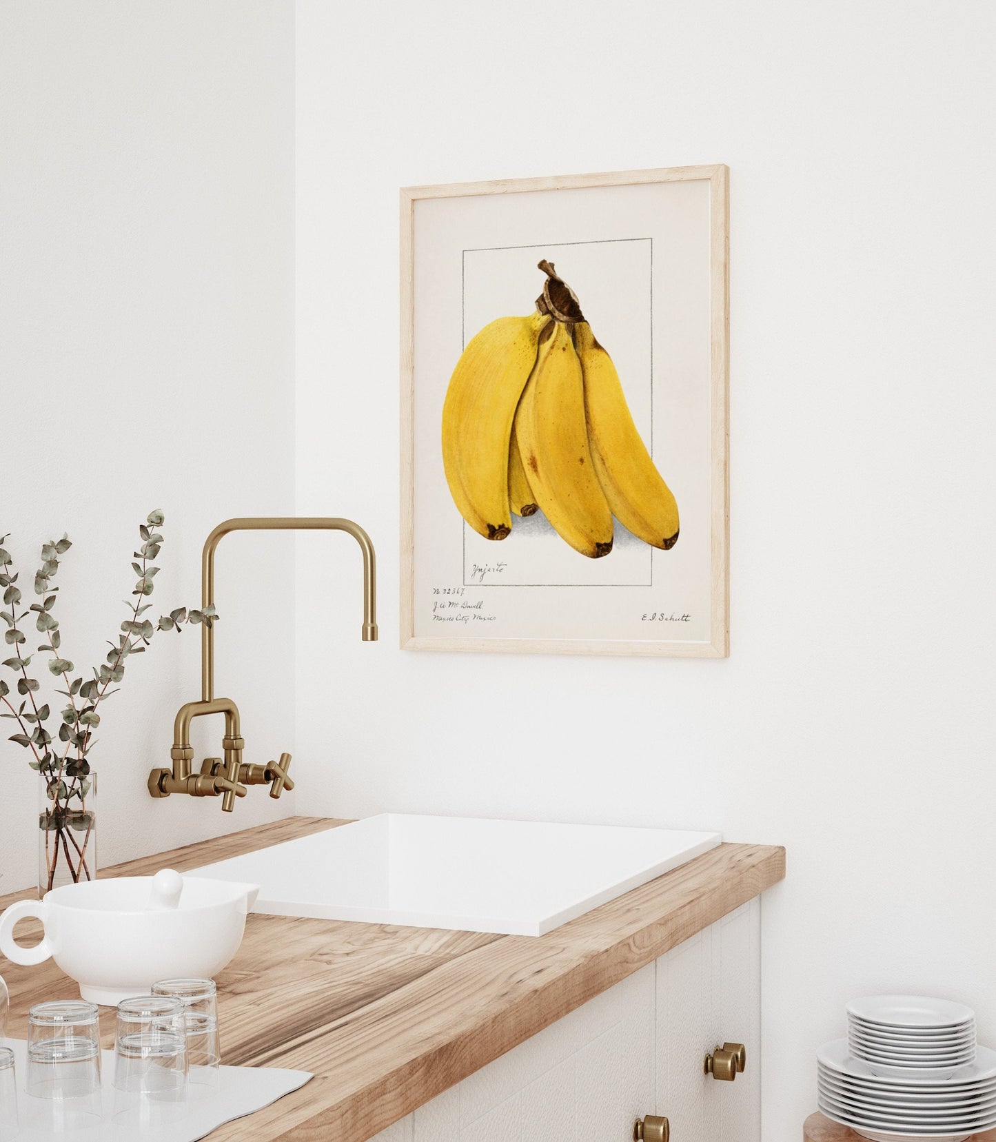 Banana Vintage Botanical Wall Art