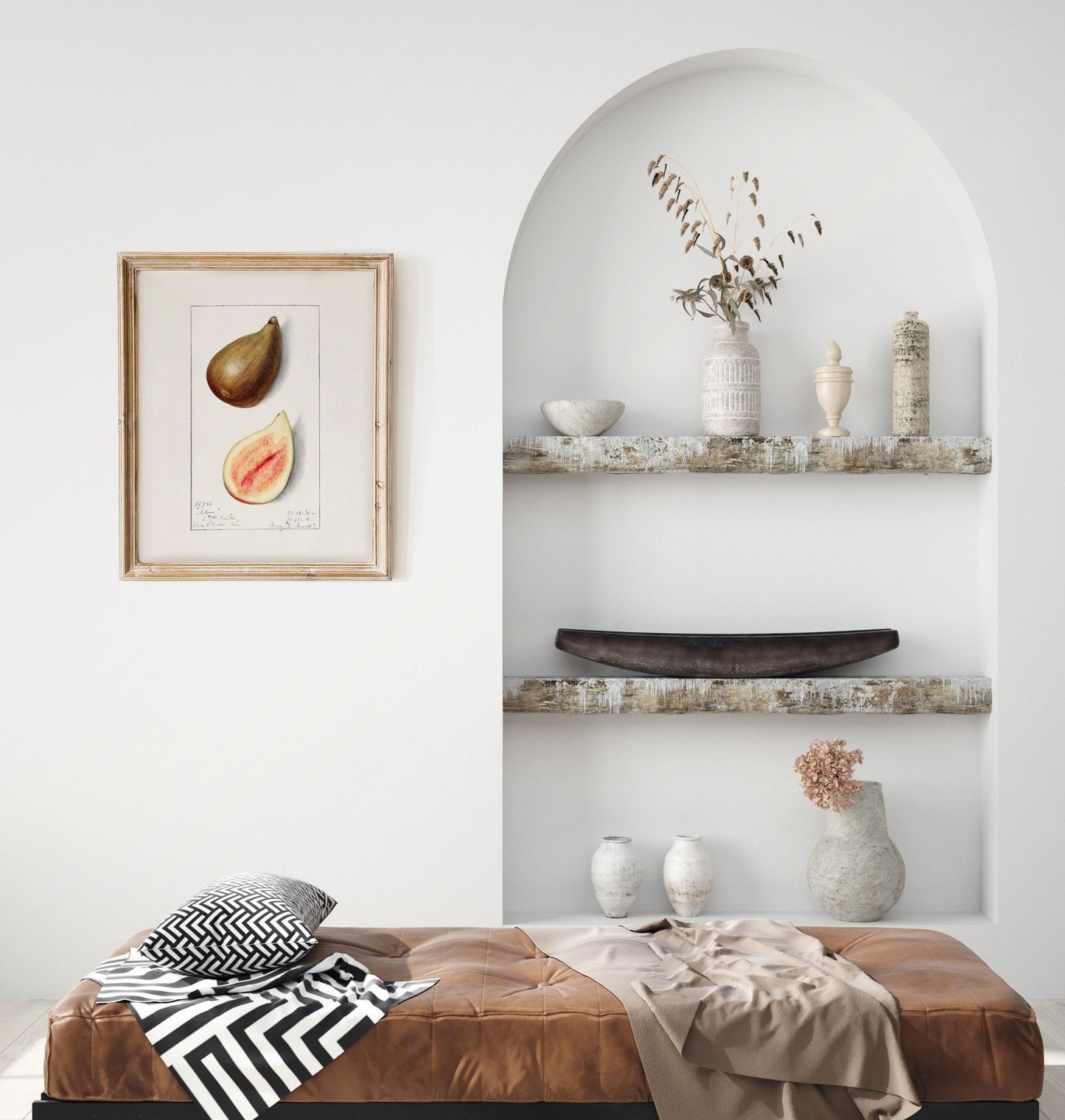 Fig Vintage Botanical Wall Art