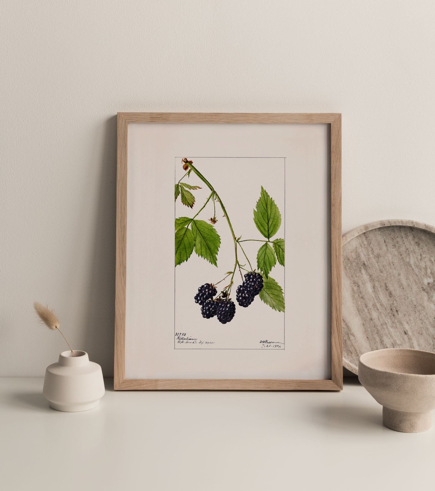 Blackberry Fruit Vintage Botanical Wall Art 