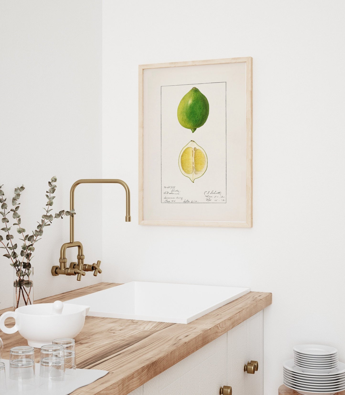 Botanical Fruit Lime Vintage Wall Art 