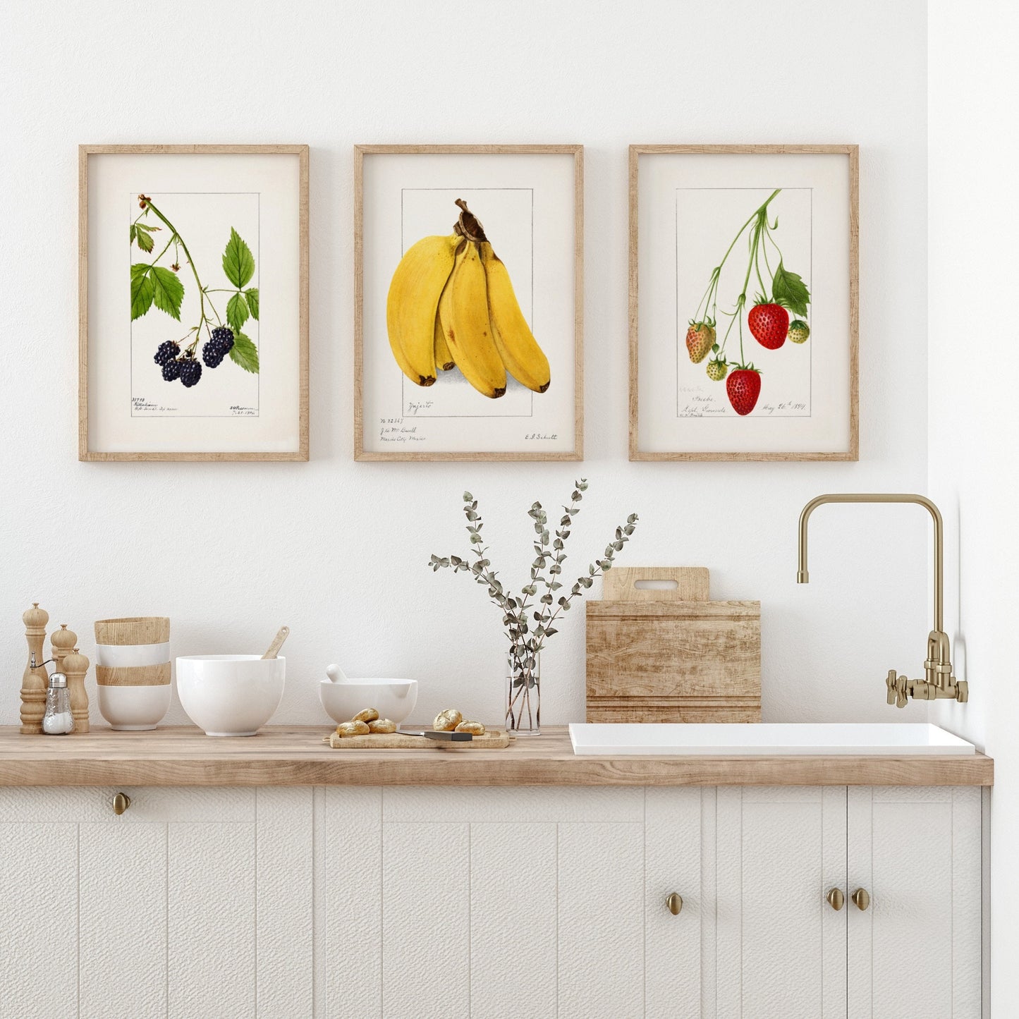 Berries Strawberries Vintage Fruit Drawings Set of three Wall Art 