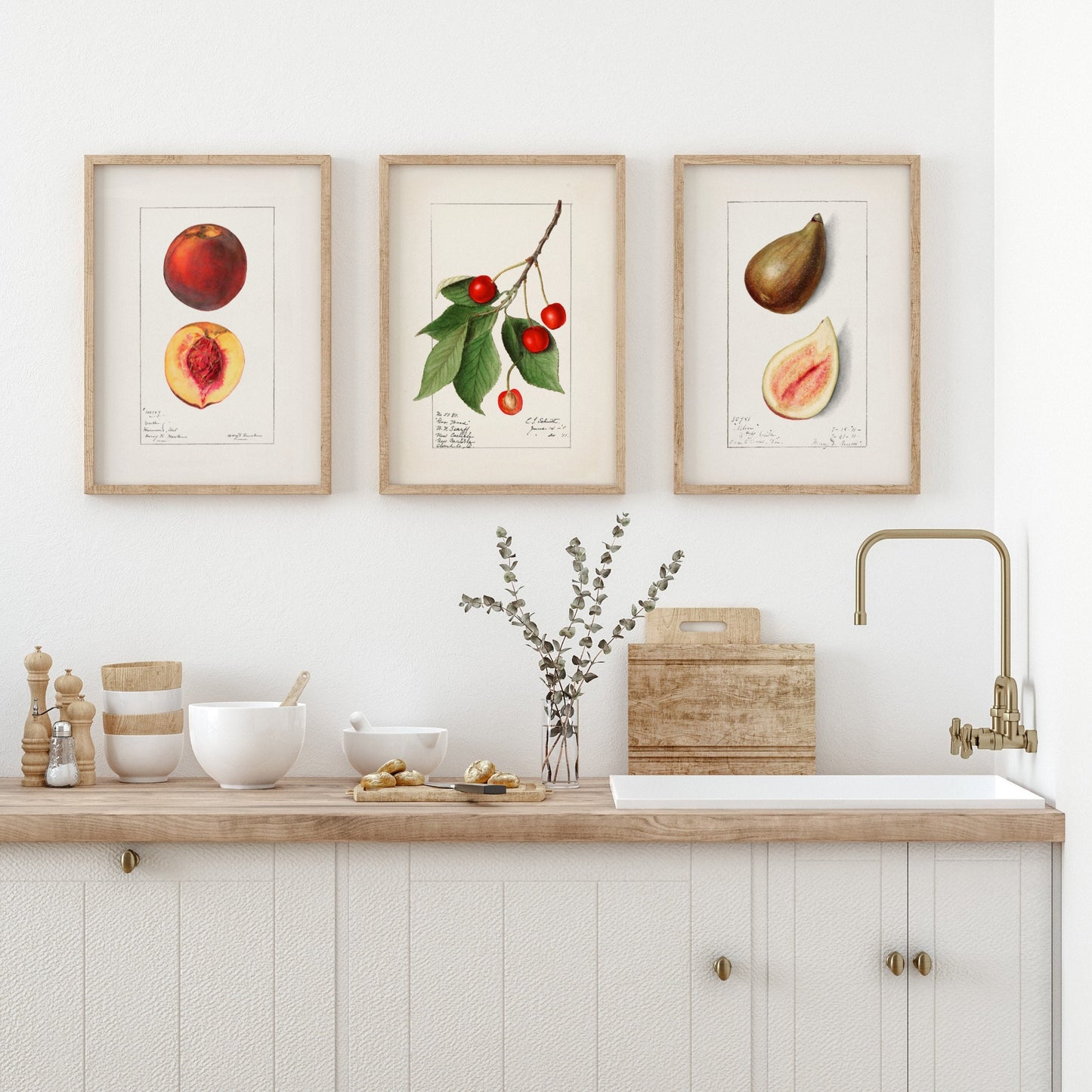 Vintage Fruit Drawings Set of three Wall Art