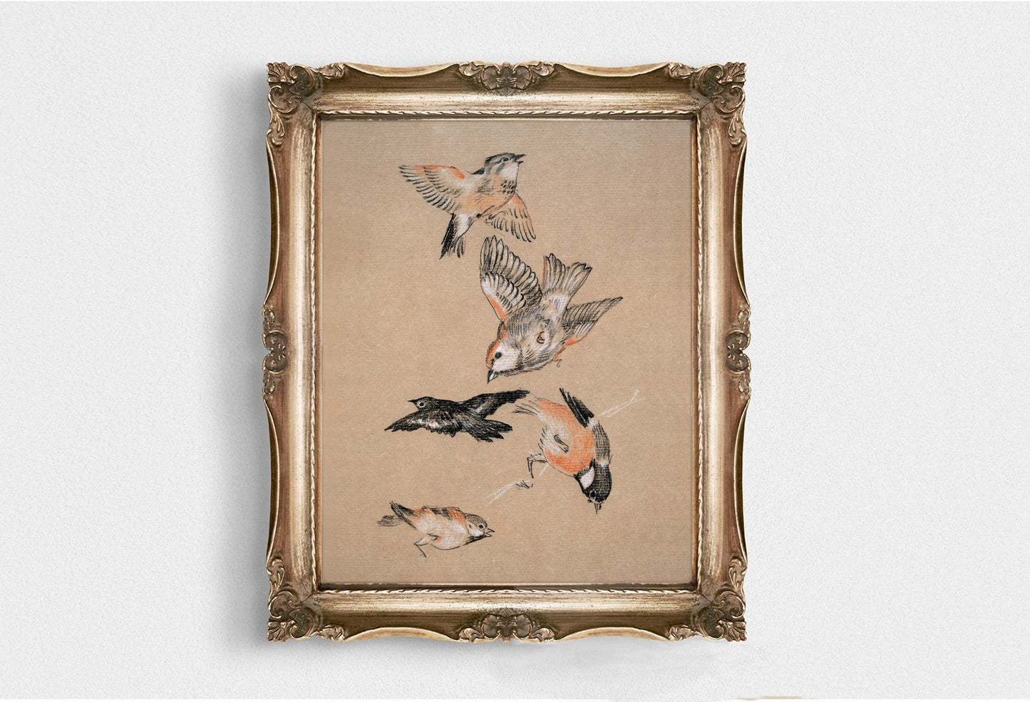 Bird Vintage Wall Art Print