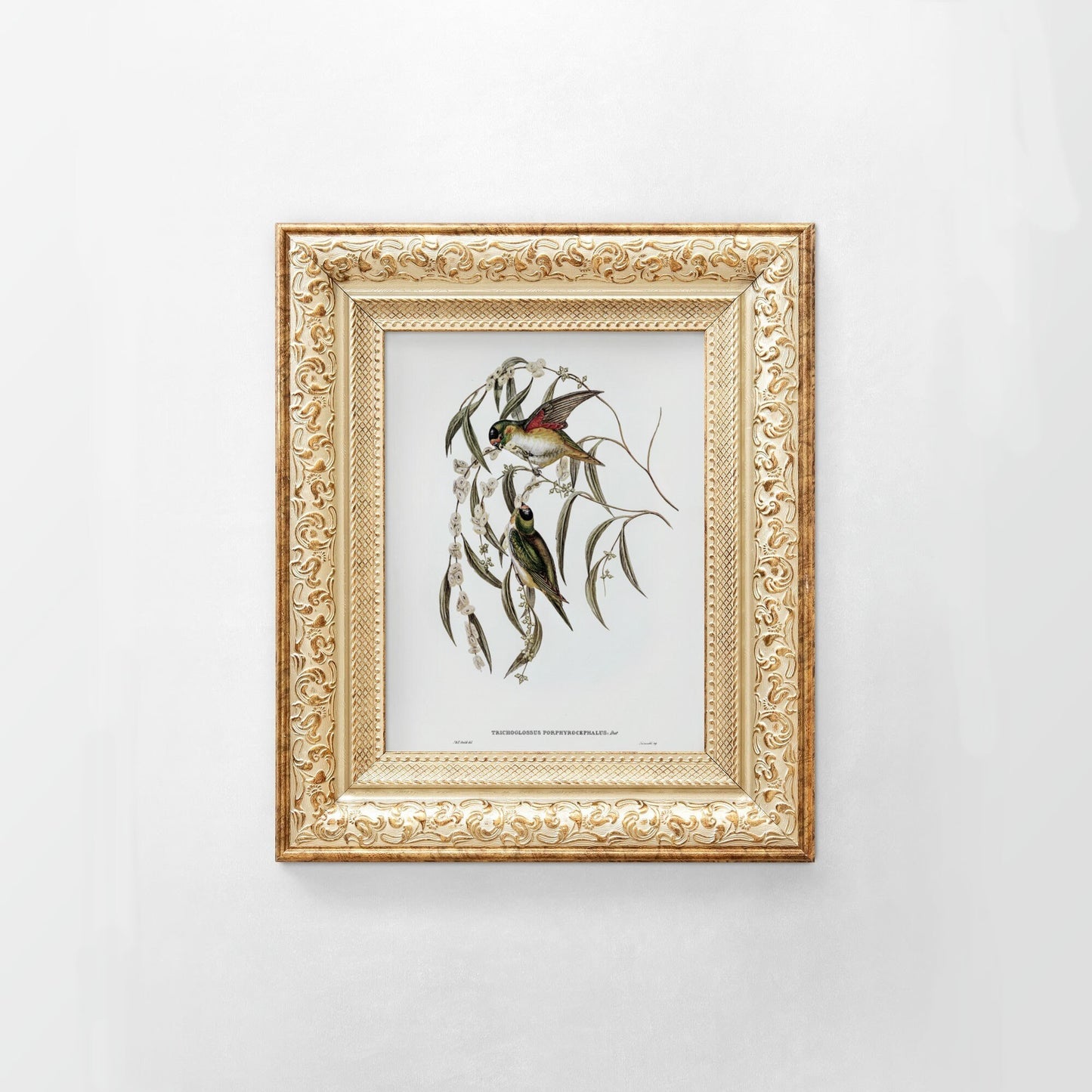 Vintage Bird Wall Art Print