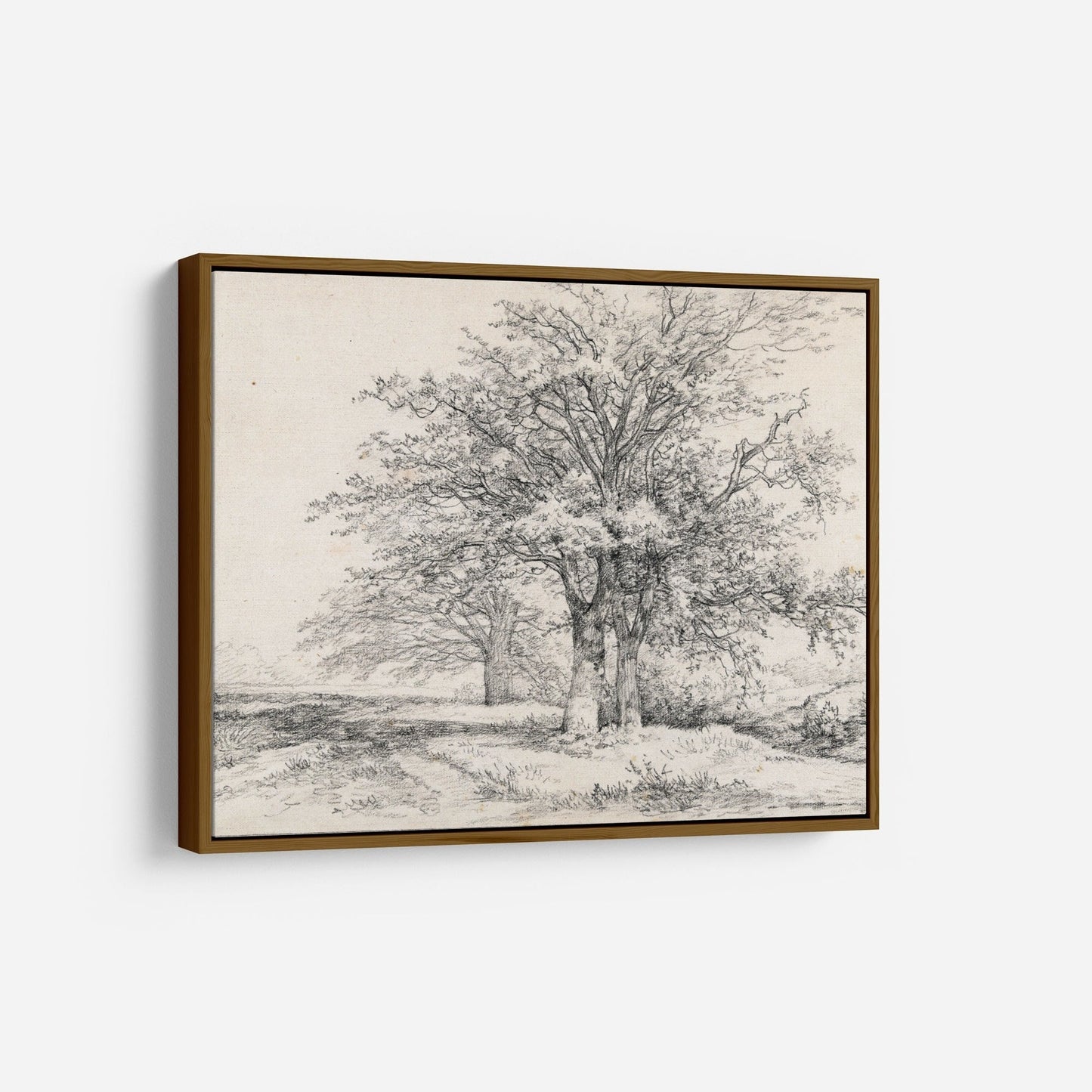 Vintage Tree Sketch Beige Art Print