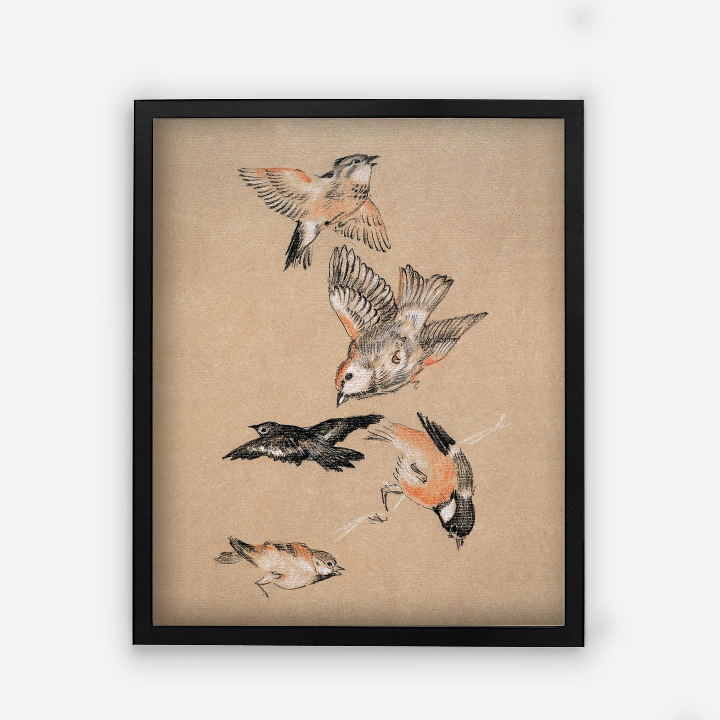 Bird Vintage Wall Art Print