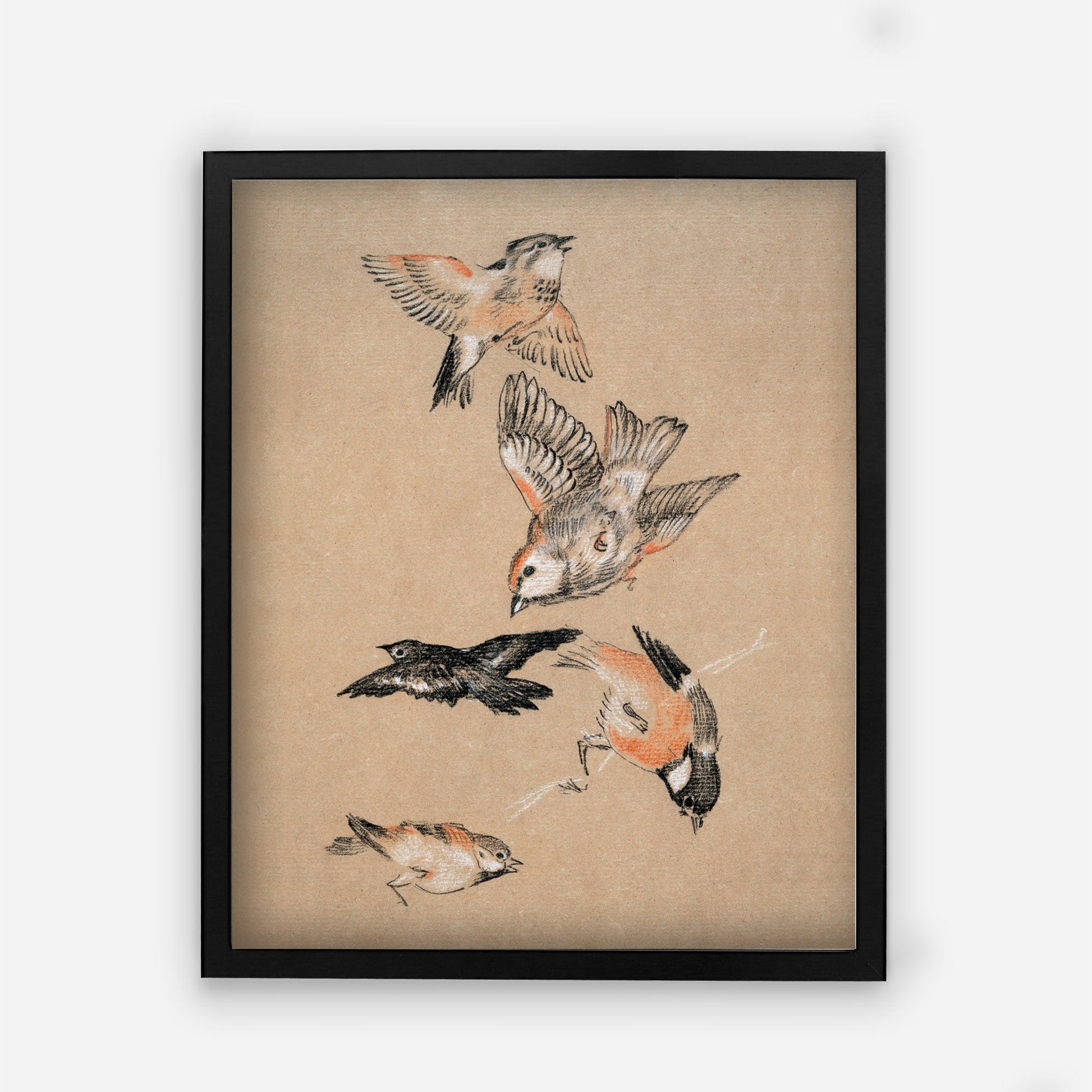 Bird Vintage Wall Art Print