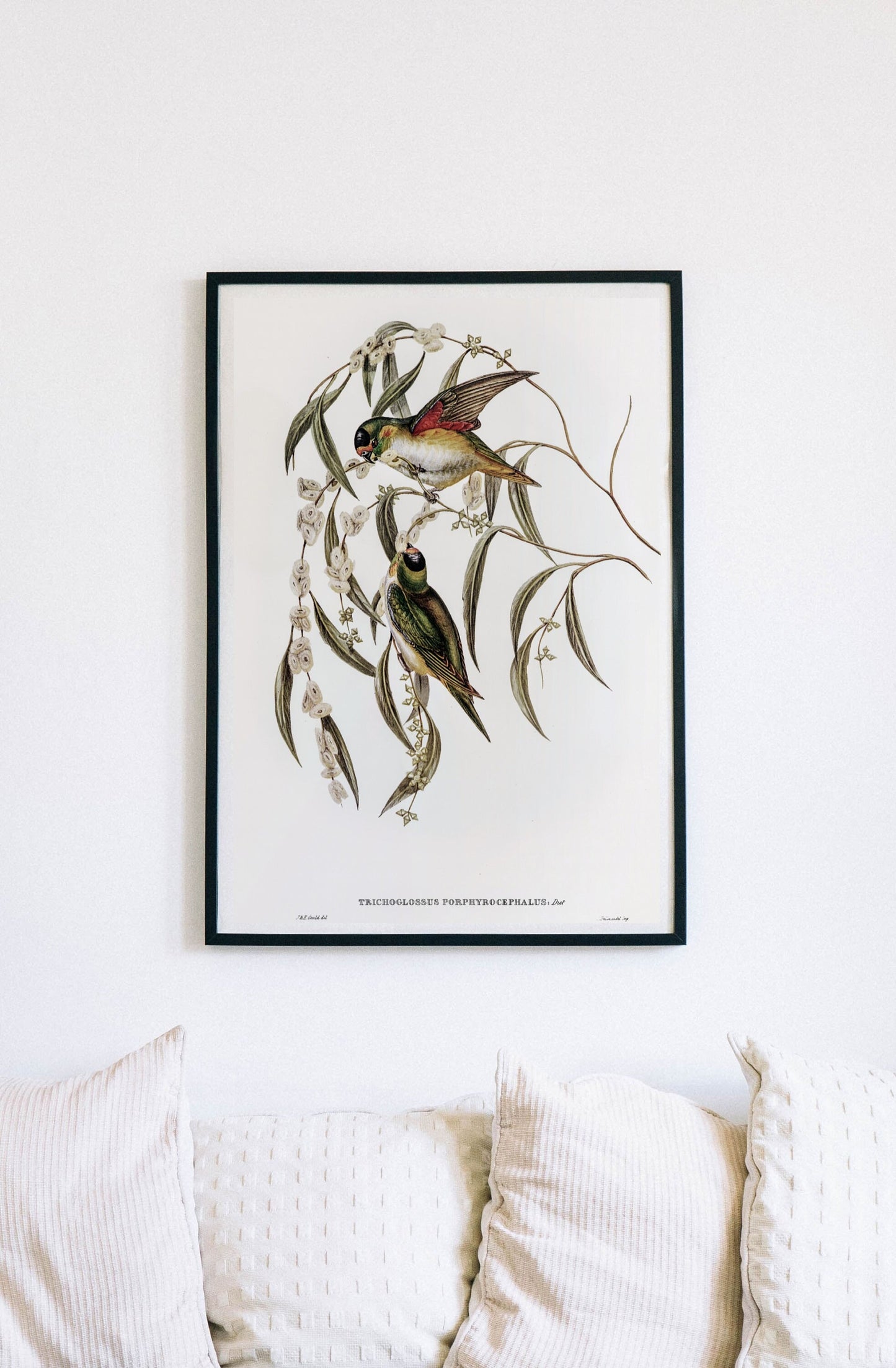 Vintage Bird Wall Art Print