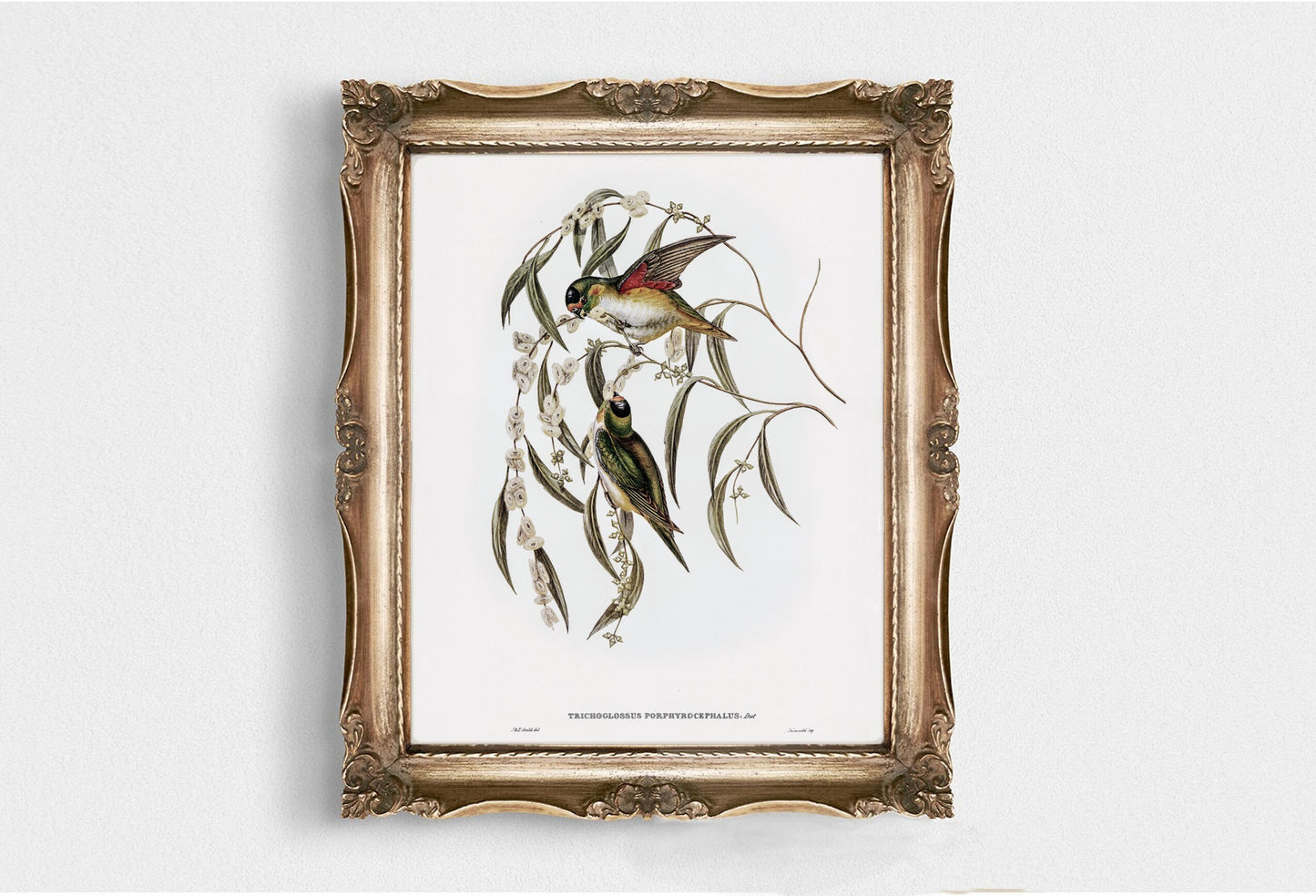 Vintage Bird Wall Art Print