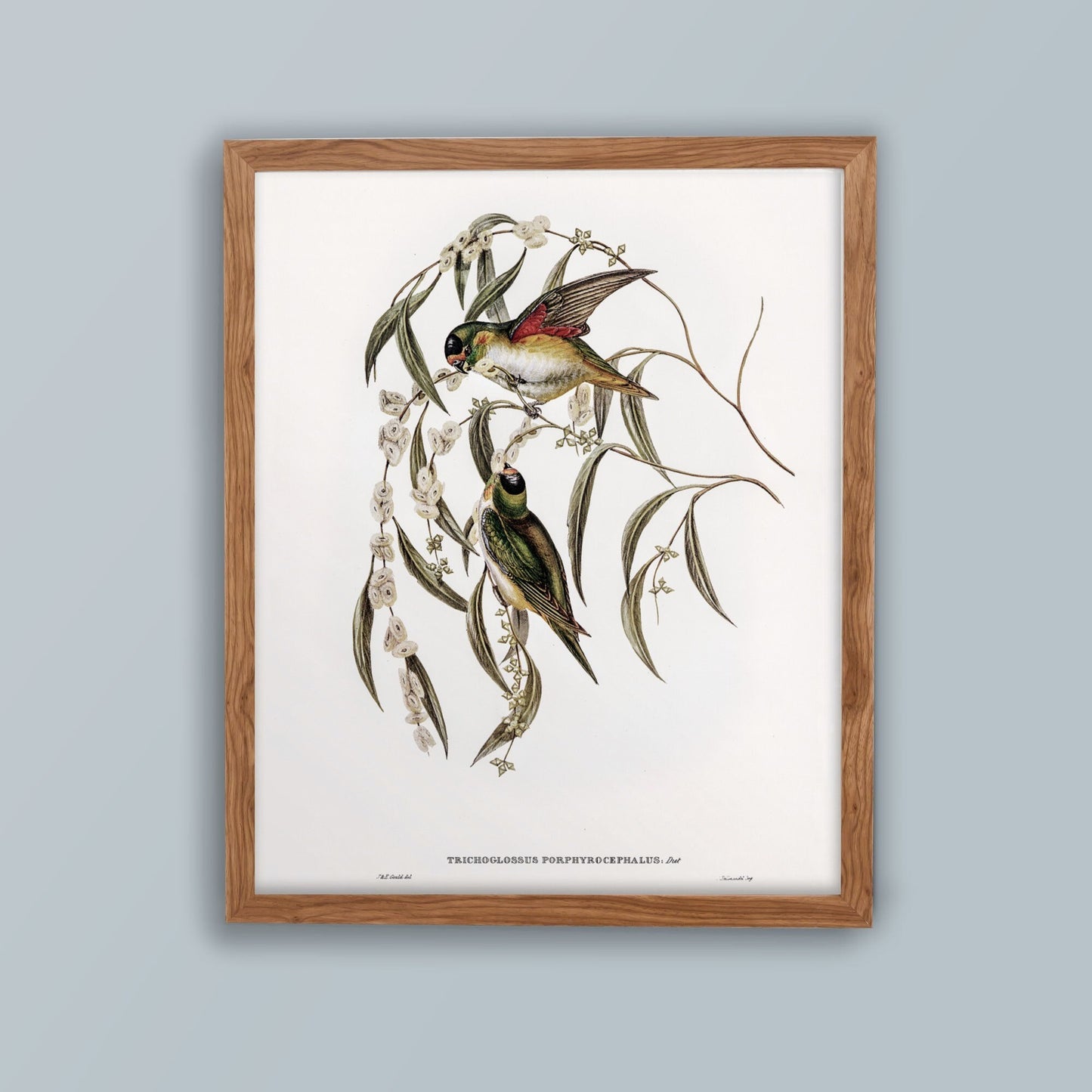 Vintage Bird Wall Art Print